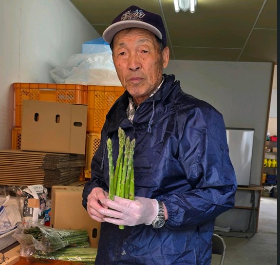 大熊町】アスパラガスの出荷が始まりました。 | 公益社団法人 福島相双